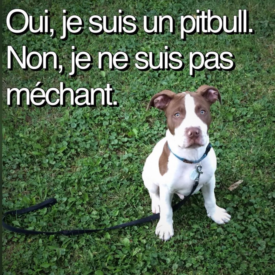 Non à l